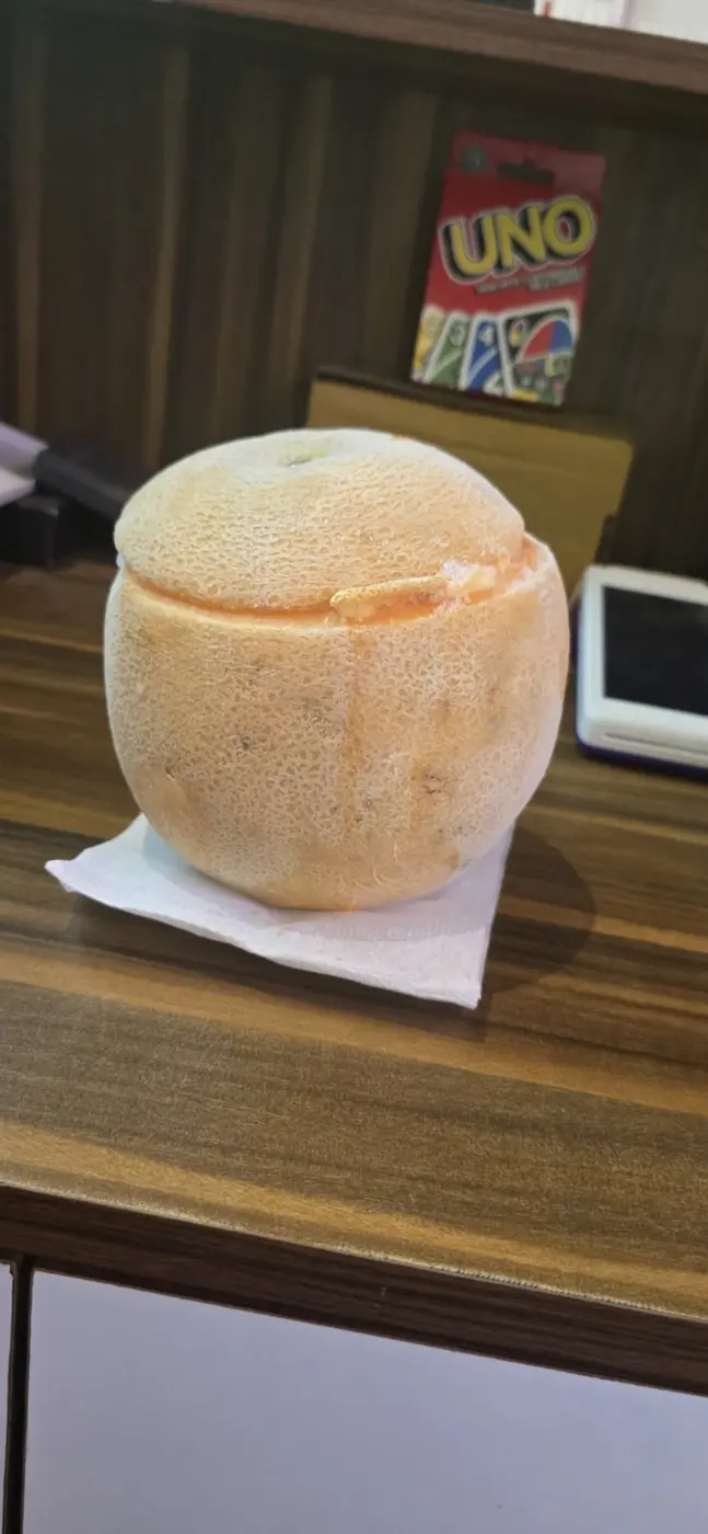 Popvik muskmelon fruit ice cream